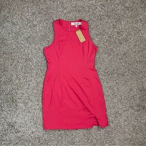 Francesca’s brand sleeveless dress with back zipper